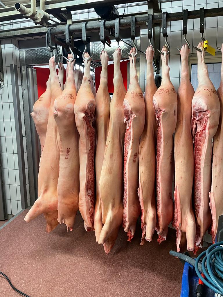 Hängende Schweinehälften in einer Fleischerei.